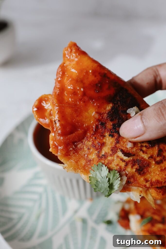 Vegan Birria Tacos with Perfect Meaty Texture 6 vegan birria tacos