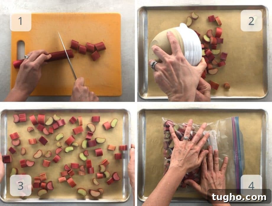 How to Freeze Rhubarb: Step-by-Step Storage Tips 3 chopping and prepping rhubarb to freeze