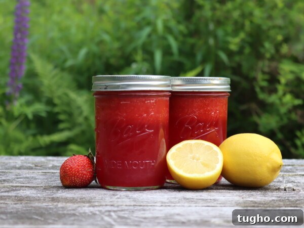 Canning Strawberry Lemonade Concentrate