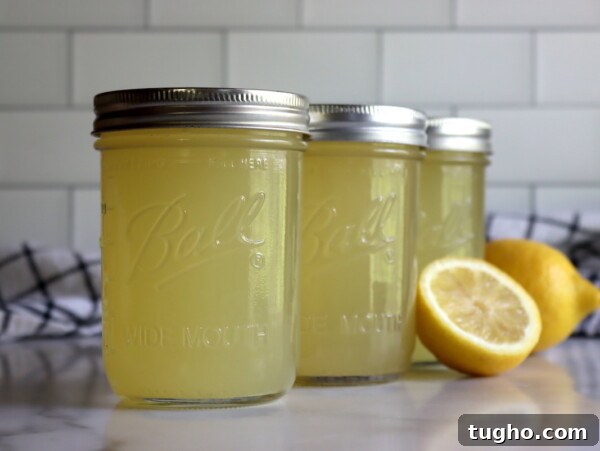 canning lemonade