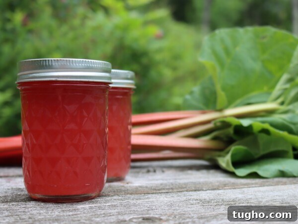 Canning Rhubarb Juice