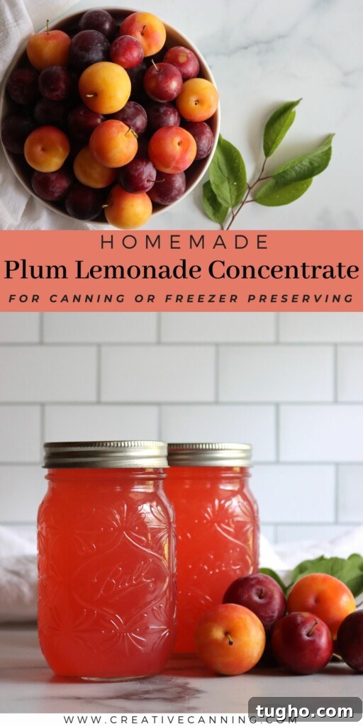 Plum Lemonade Concentrate Recipe