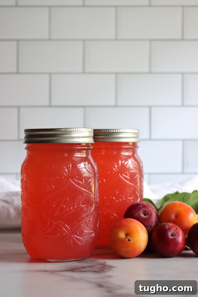Plum Lemonade Concentrate