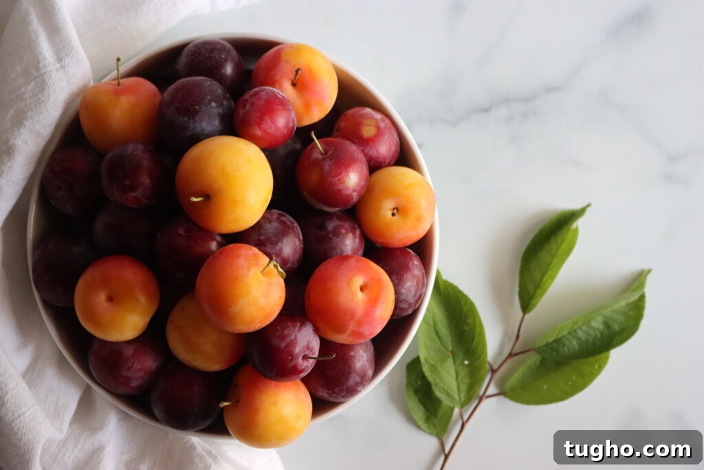 Plums
