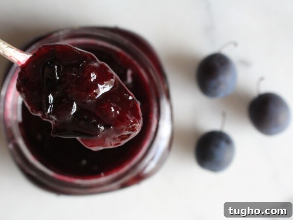 Damson jam
