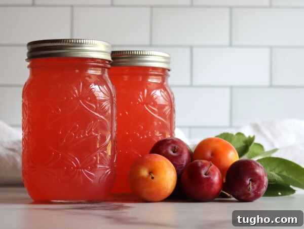 Plum Lemonade Concentrate
