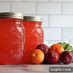 Plum Lemonade Concentrate