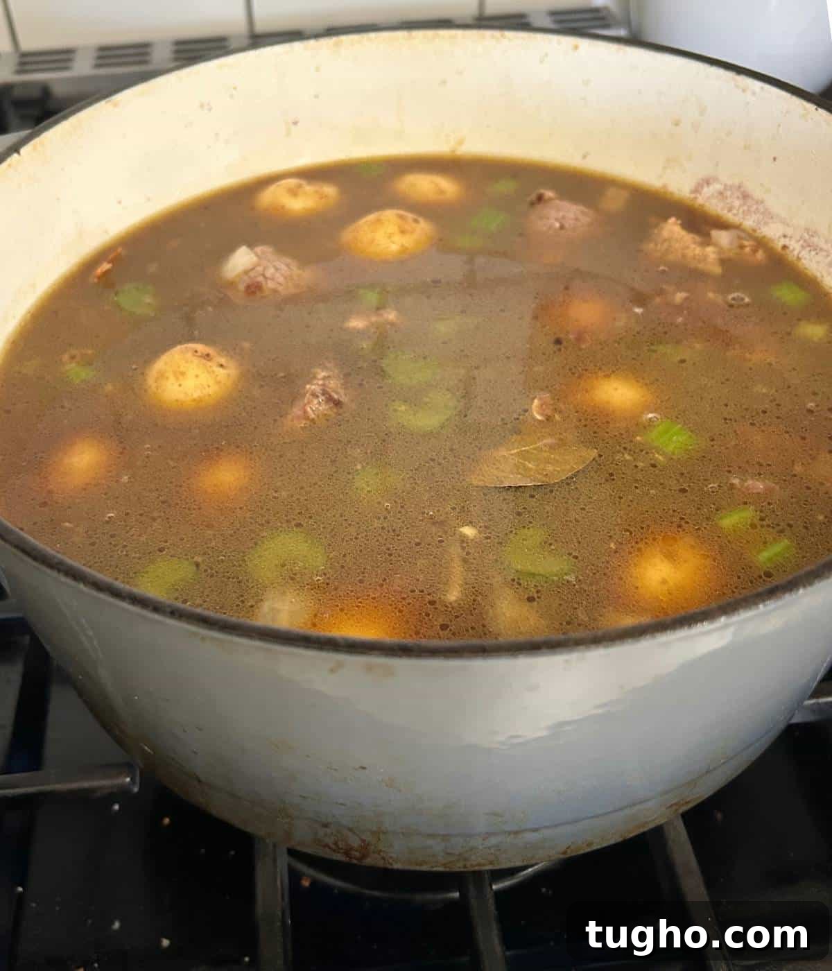 Dutch Oven Beef Stew with Tender Chuck and Vegetables 10 Beef stew in dutch oven.