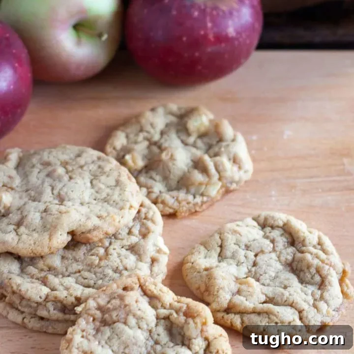 Apple Toffee Cookies main image