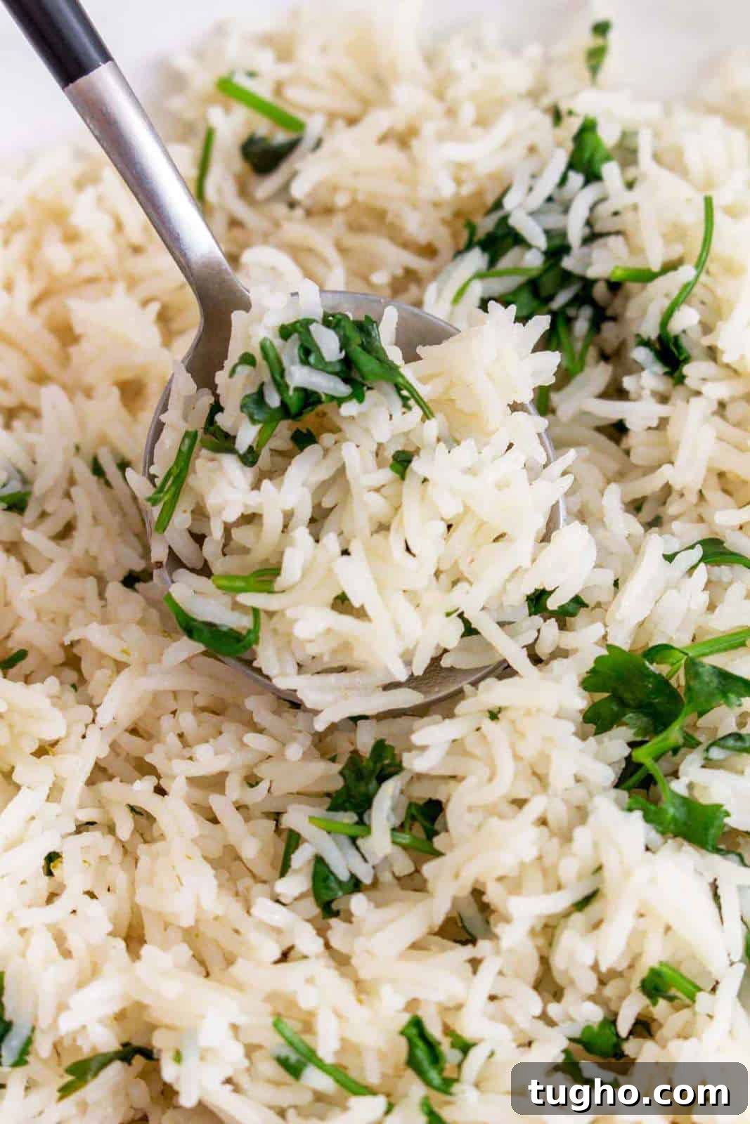 A spoonful of cilantro lime rice lifting from a plate.