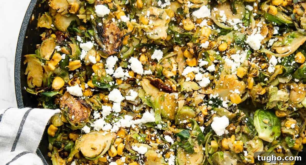 Overhead and up close image of Mexican chipotle brussel sprouts with garnish. 