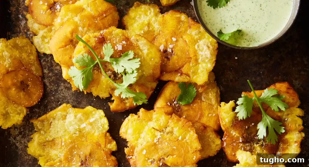 Overhead up close image of tostones with cilantro jalapeno green sauce. 