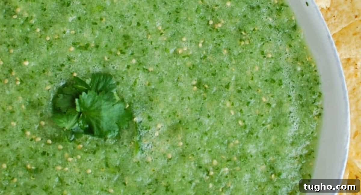 Overhead up close image of tomatillo salsa verde with garnish. 