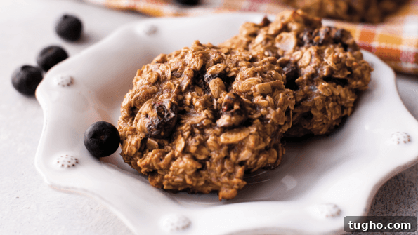 Gluten-Free Oatmeal Breakfast Cookies Kids Love 2 healthy oatmeal breakfast cookies