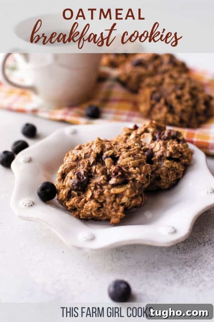 Gluten-Free Oatmeal Breakfast Cookies Kids Love 3 Oatmeal breakfast cookies on a plate.