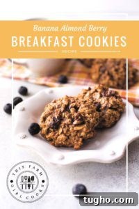 Gluten-Free Oatmeal Breakfast Cookies Kids Love 5 make ahead breakfast cookies