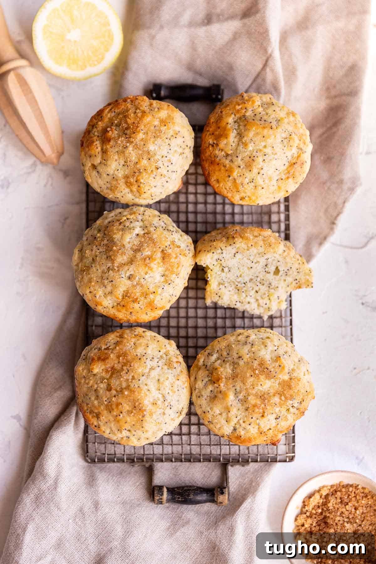 Zesty Sourdough Lemon and Poppy Seed Muffins 2 6 lemon poppyseed muffins sitting on a wire cooling rack.