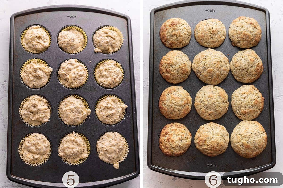 Zesty Sourdough Lemon and Poppy Seed Muffins 5 Sourdough Lemon poppy seed muffins baked in a muffin tin.