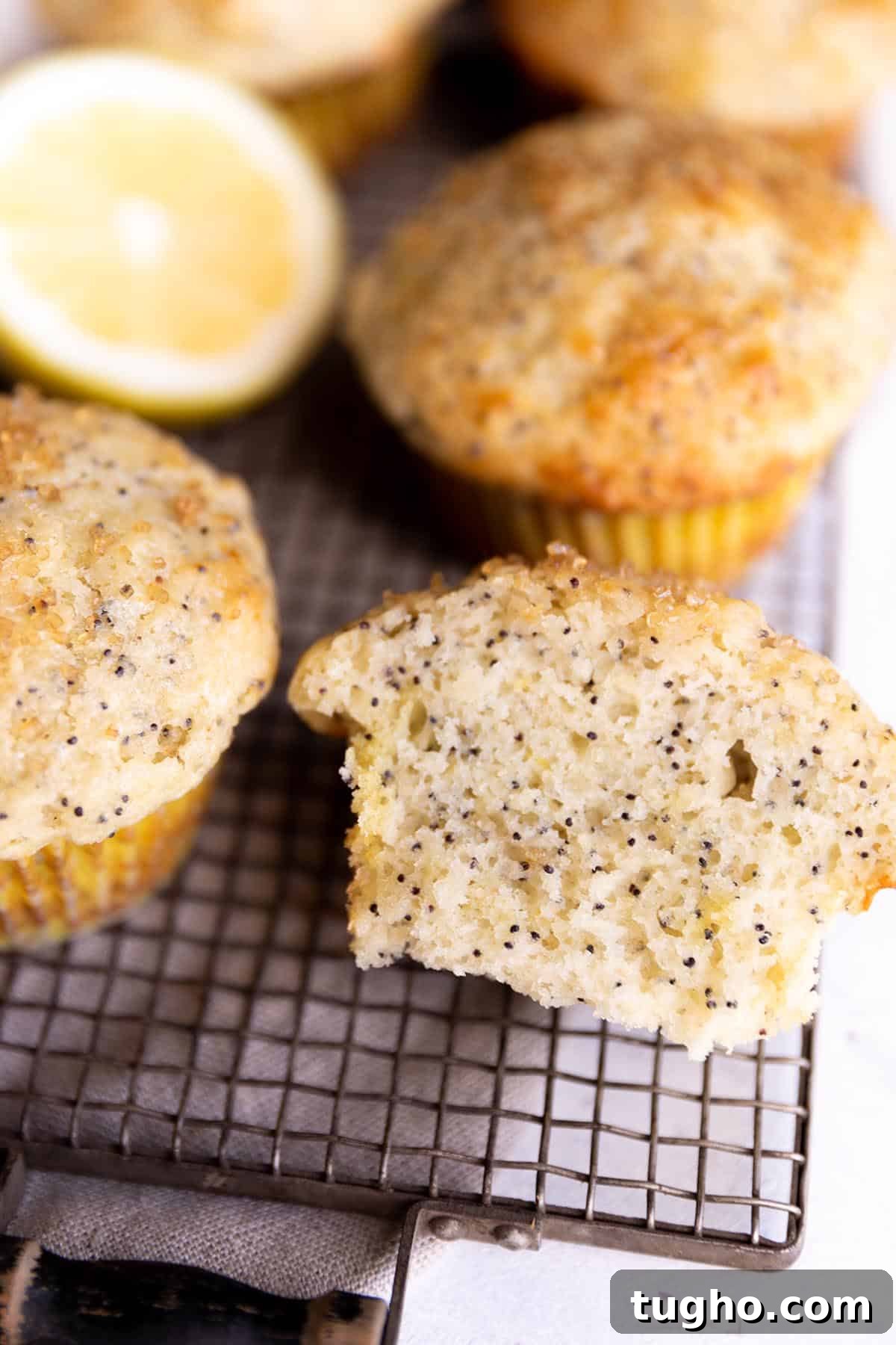 Zesty Sourdough Lemon and Poppy Seed Muffins 7 Four full lemon muffins with one cut in half on a cooling rack.