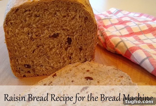 Raisin Bread Recipe