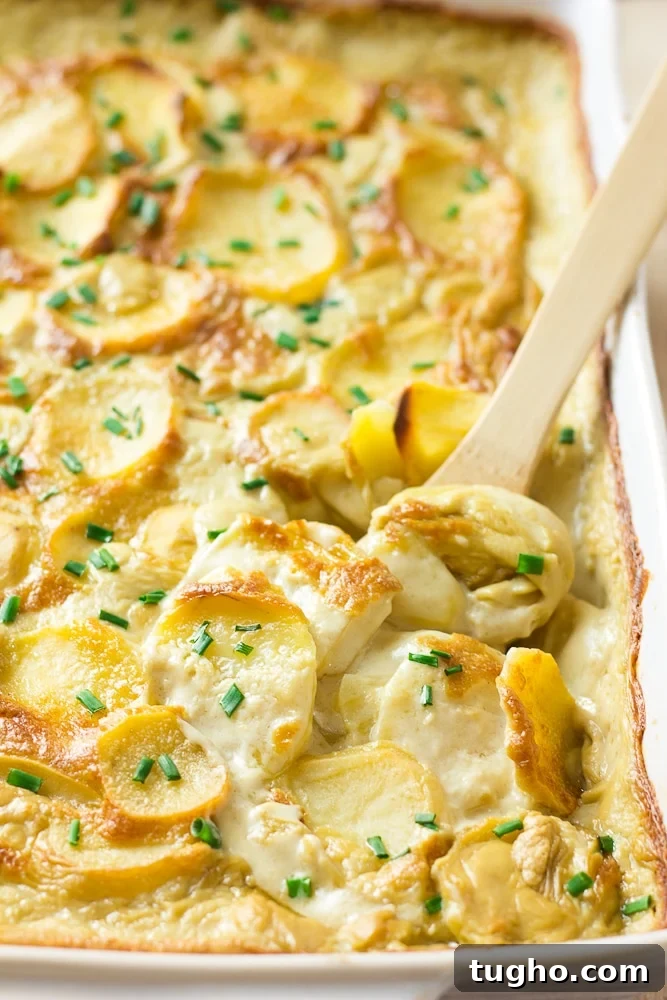 vegan scalloped potatoes in casserole dish with a wooden spoon