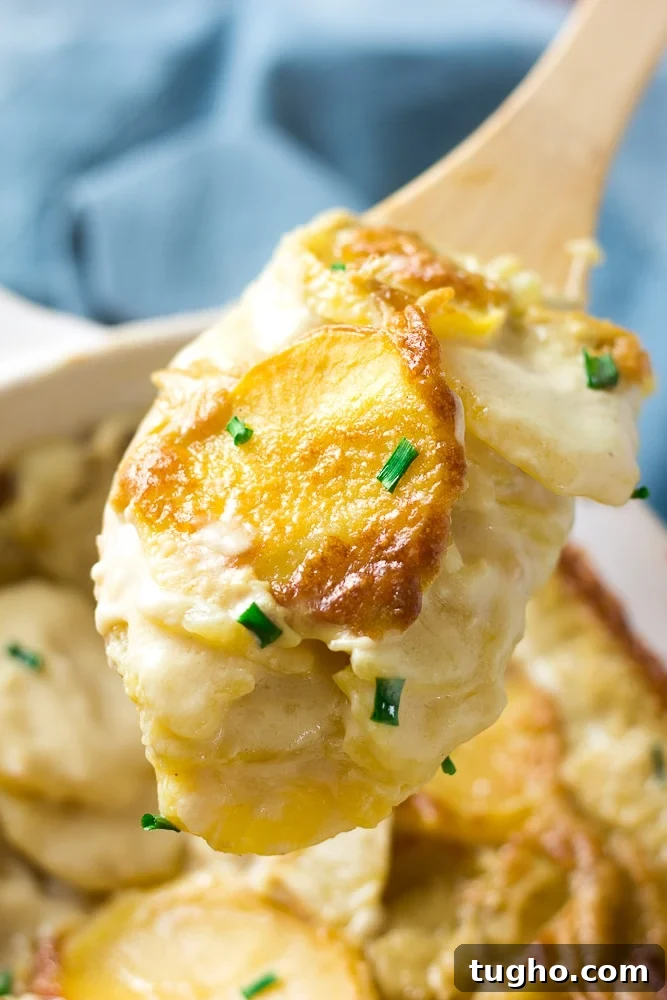 vegan scalloped potatoes close up on wooden spoon