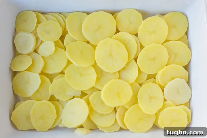 vegan scalloped potatoes, raw potatoes sliced in casserole dish