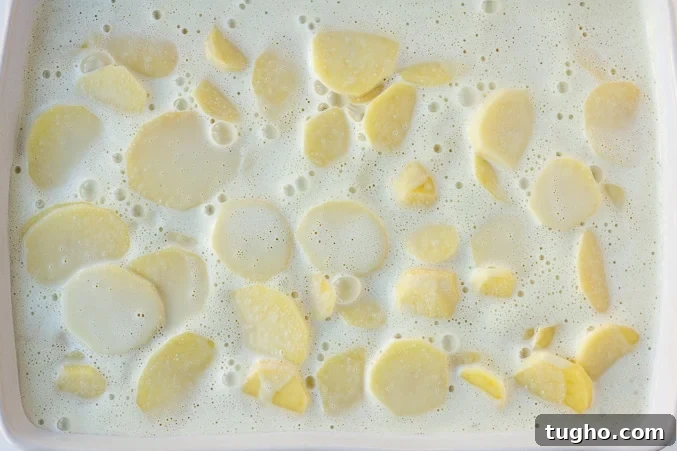 creamy sauce layered over potatoes