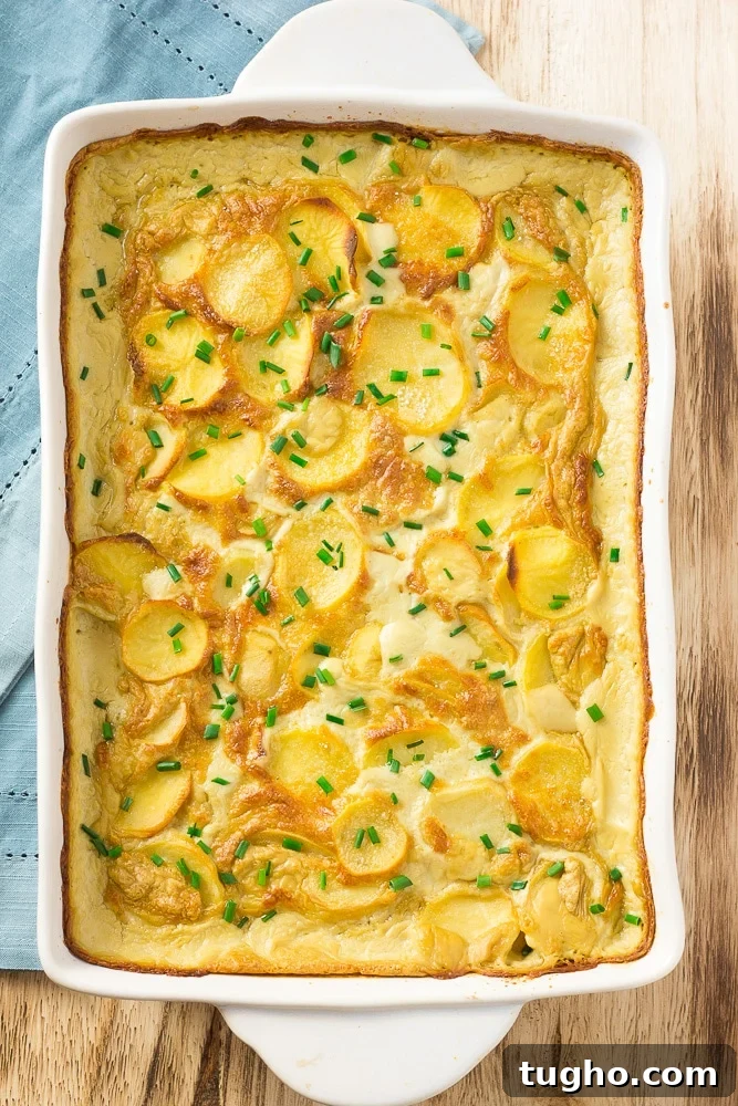 finished vegan scalloped potatoes in casserole dish out of oven