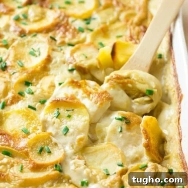 vegan scalloped potatoes in casserole dish with a wooden spoon