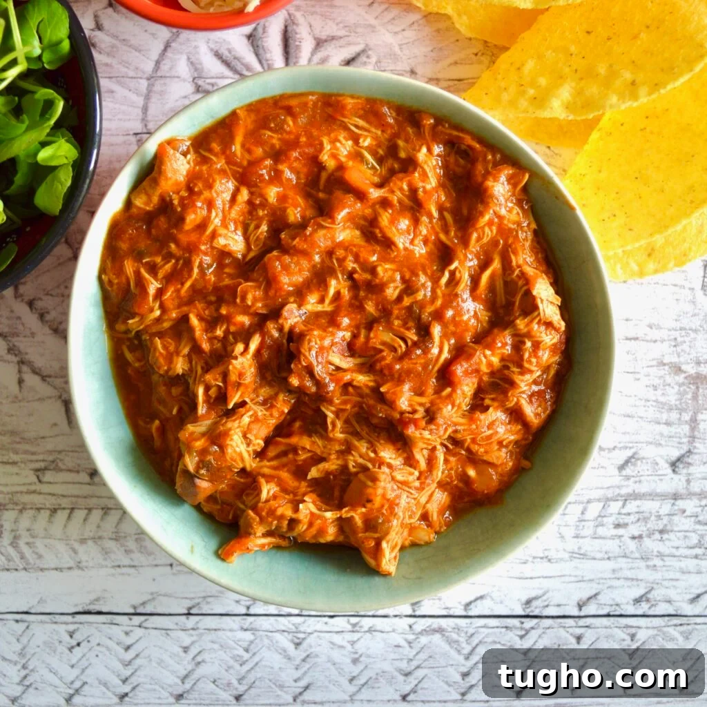10 Gluten- and Dairy-Free Slow Cooker Recipes 4 taco chicken