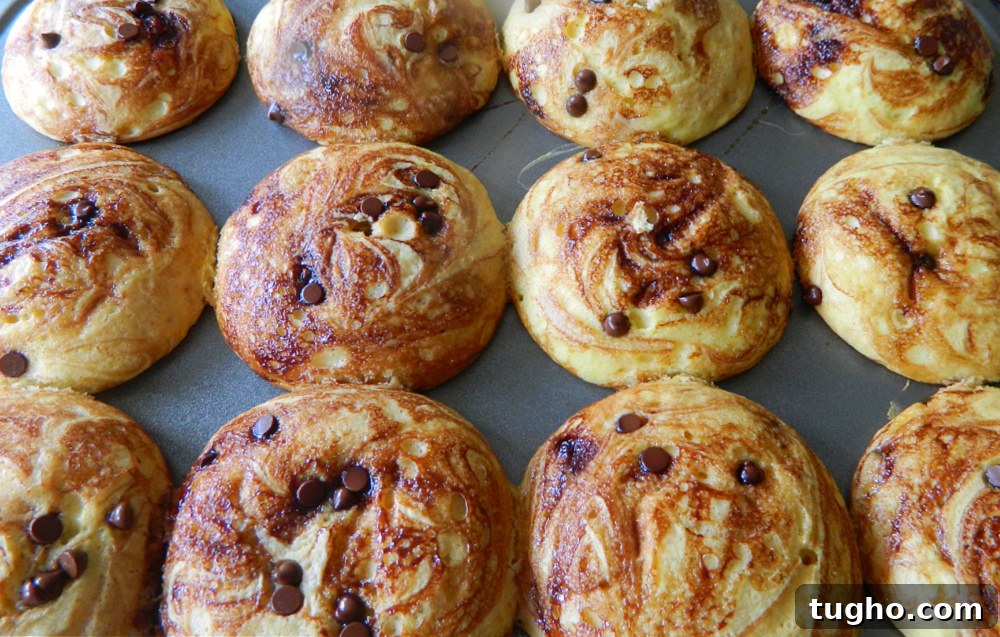 Chocolate chip marble muffins