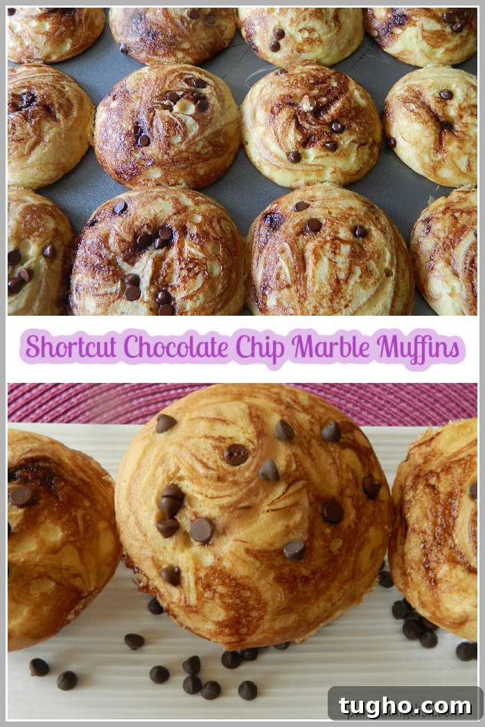 Freshly baked muffins