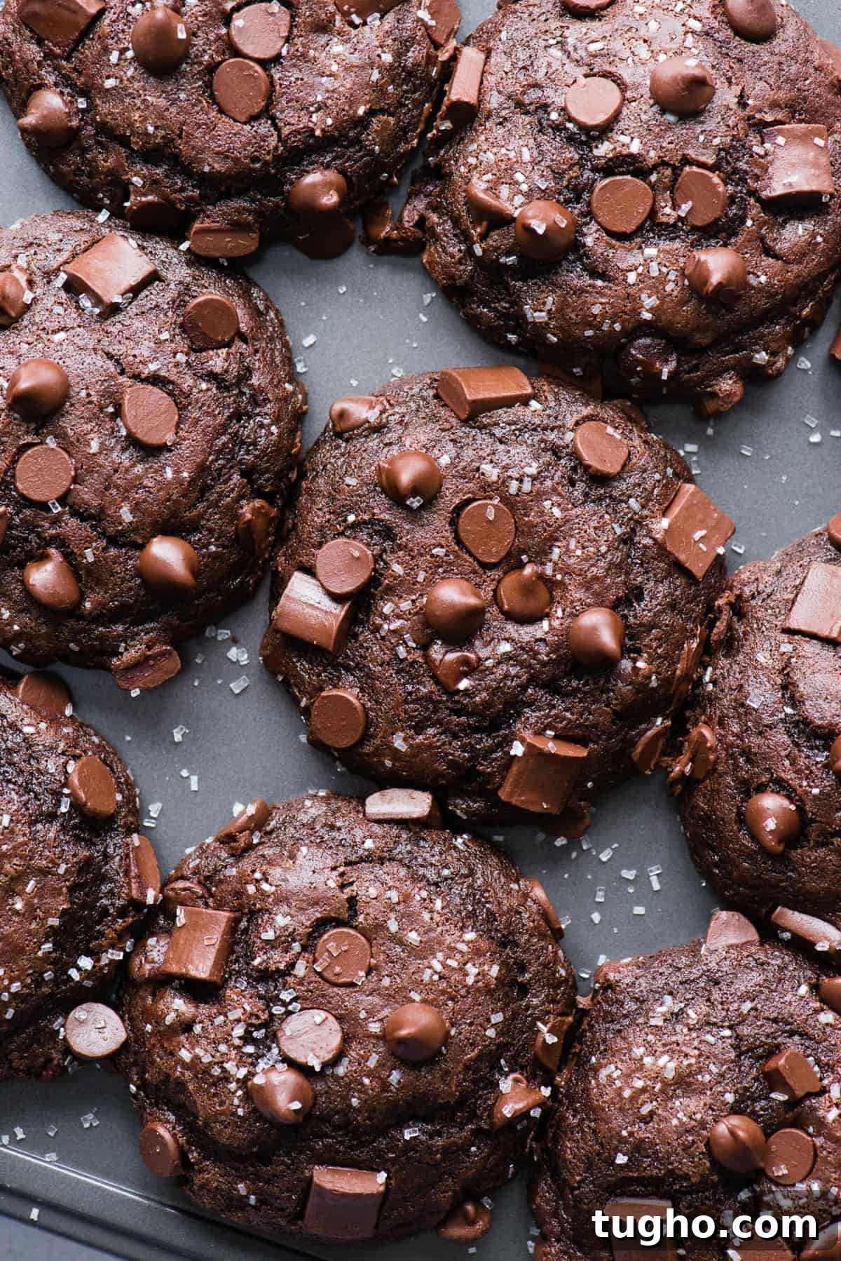 chocolate muffins with chocolate chips in metal muffin pan