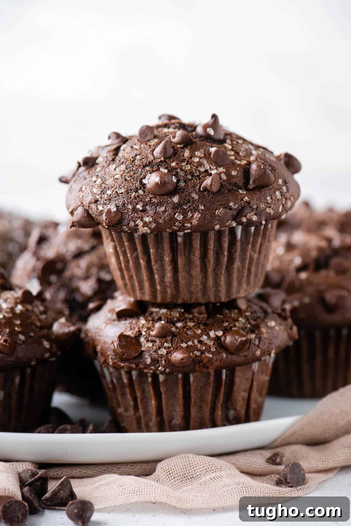 two chocolate muffins stacked on top of each other
