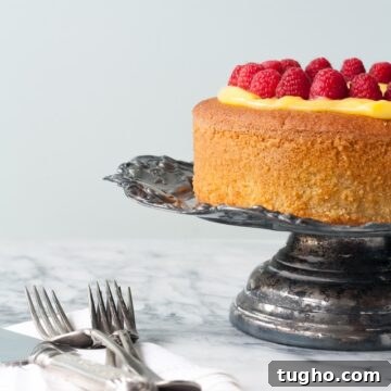 gluten-free lemon cake with lemon curd and berries