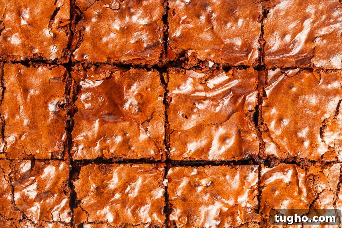 Fudgy Gluten-Free Chocolate Brownies 6 Up close shot of cooked and sliced brownies.