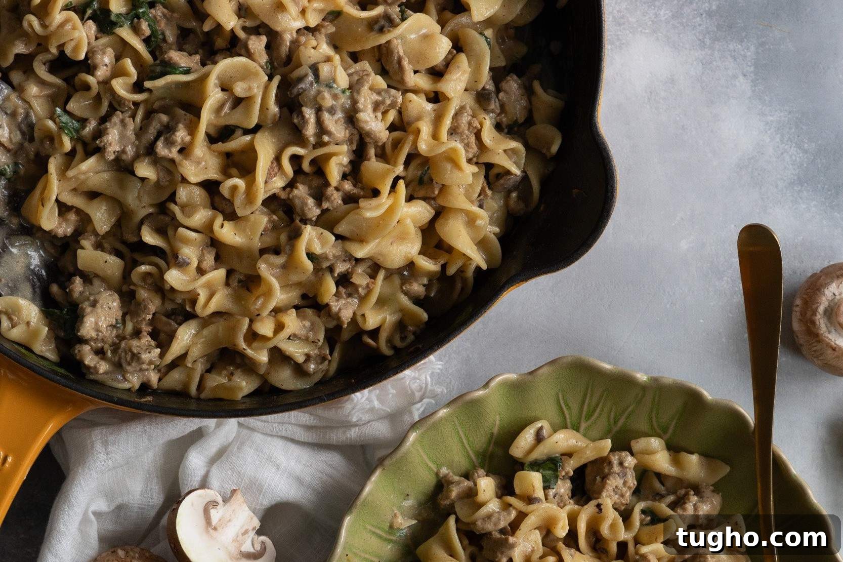 Quick Breakfast Recipe for Busy Mornings 5 ground-turkey-stroganoff-recipe
