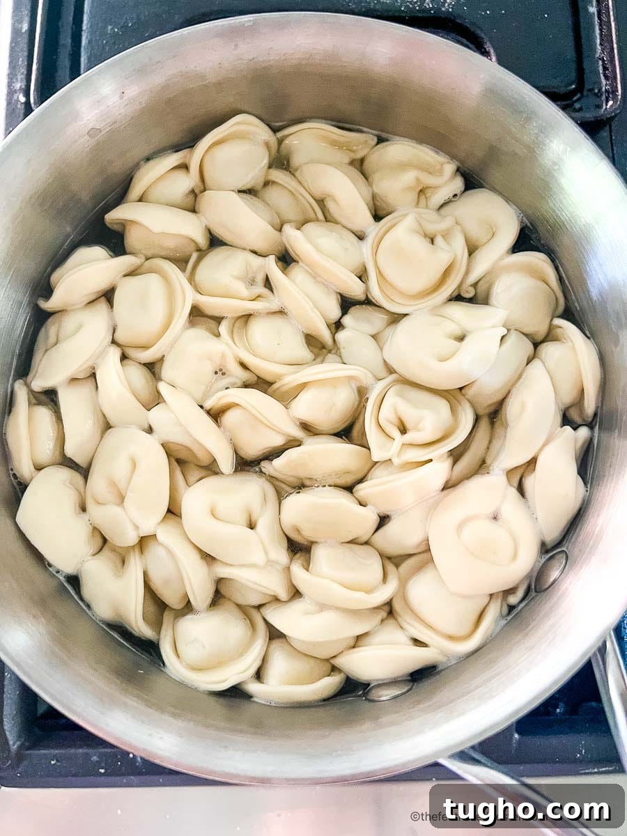 tortellini pasta cooking in a sauce pan