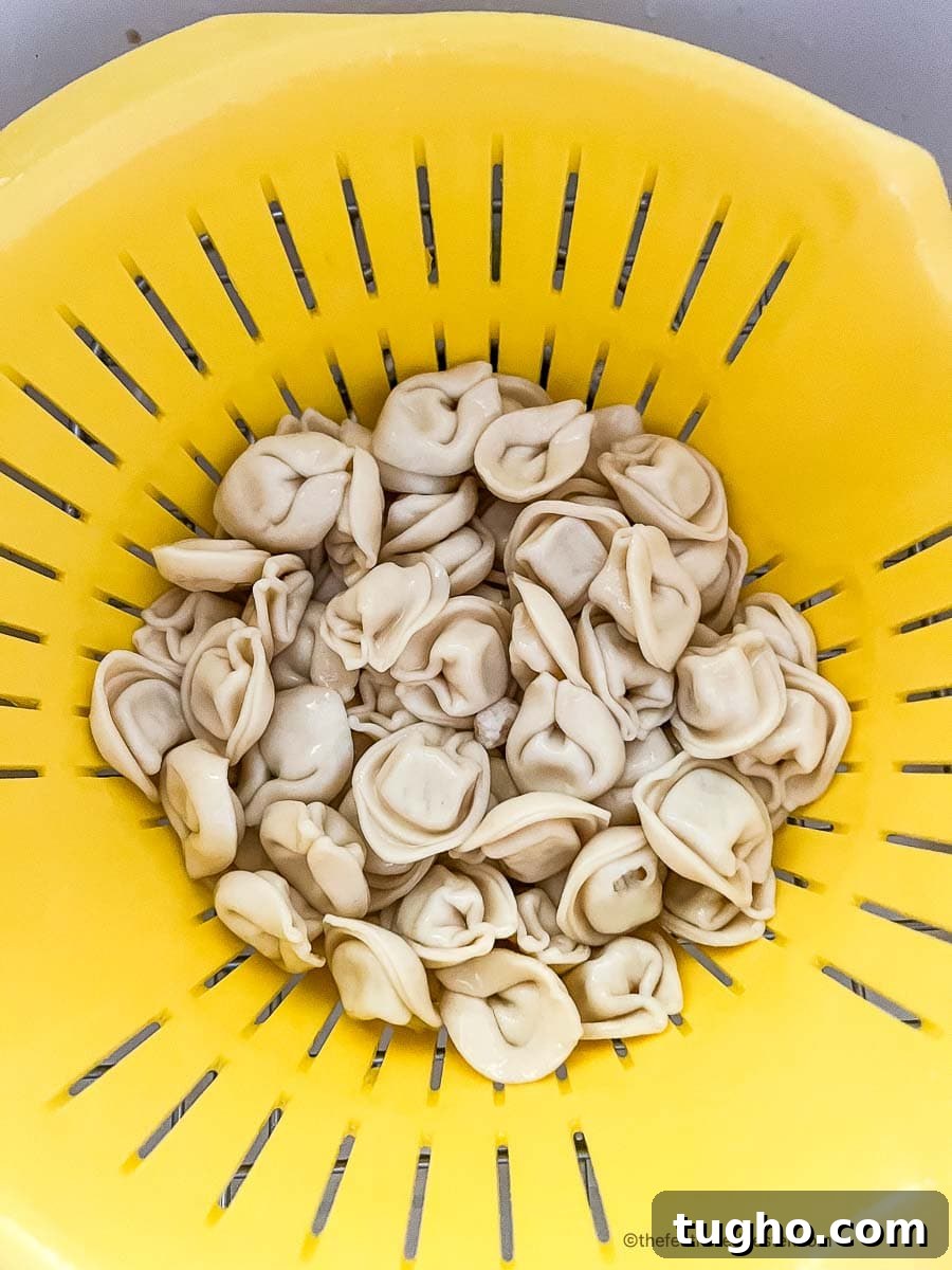 cooked cheese tortellini drained in a colander