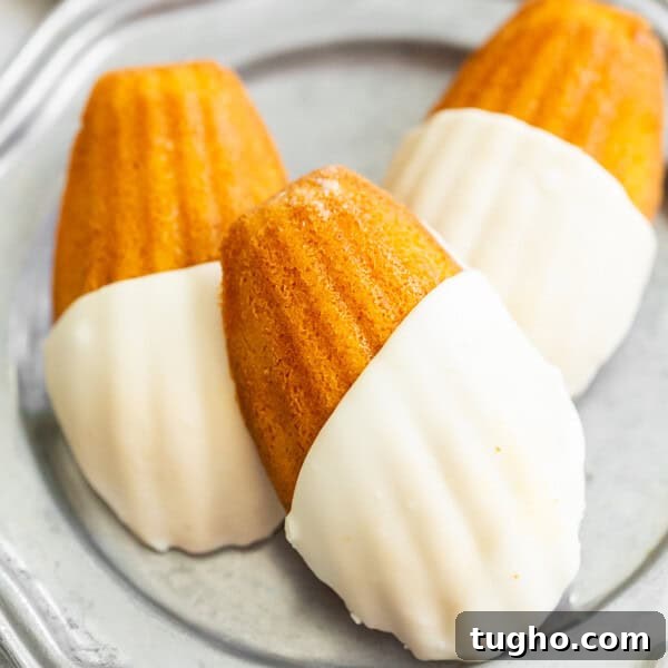 Spiced Pumpkin Madeleines