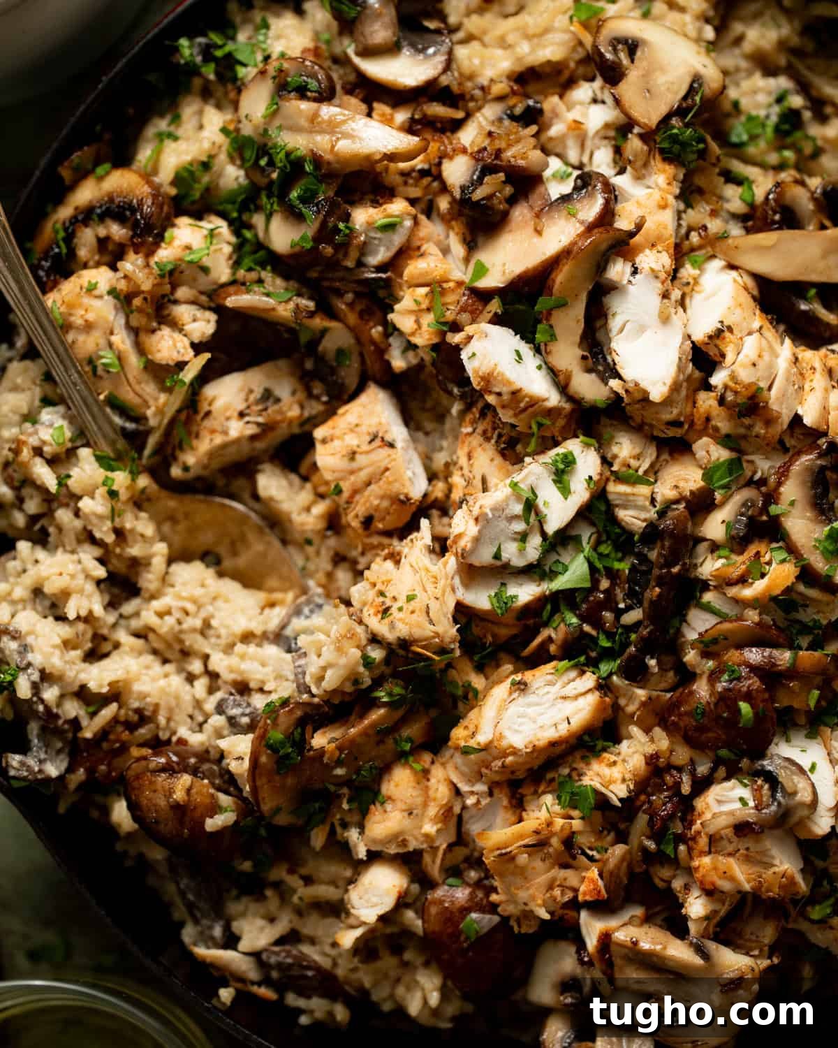 Creamy Chicken and Rice with Mushrooms 3 up close photo of creamy mushroom chicken and rice.