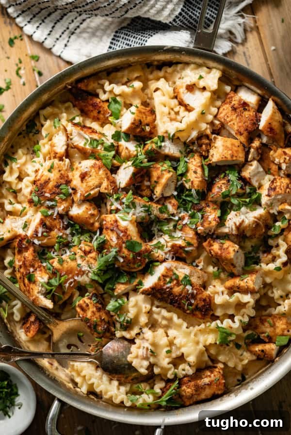 garlic parmesan pasta with chicken in a large skillet with a kitchen towel on the pan.