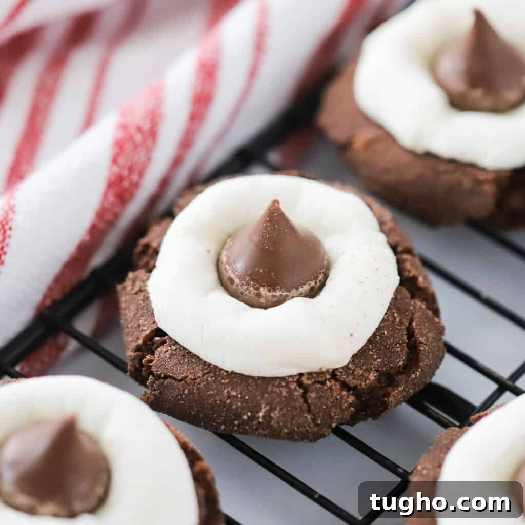 Hot cocoa kisses cookies close up.
