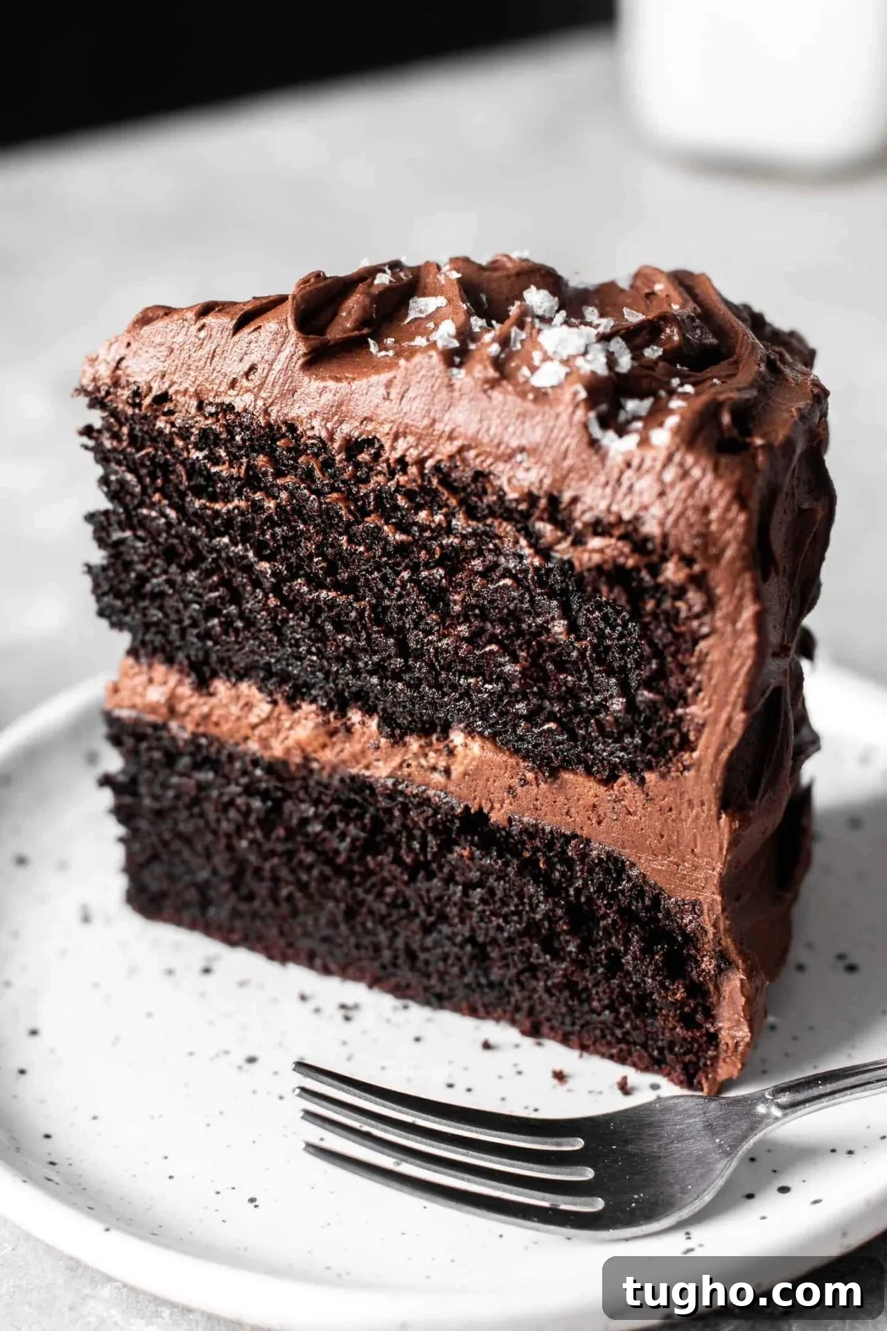 Fudgy Gluten Free Chocolate Cake Recipe 2 gluten free chocolate cake slice in plate