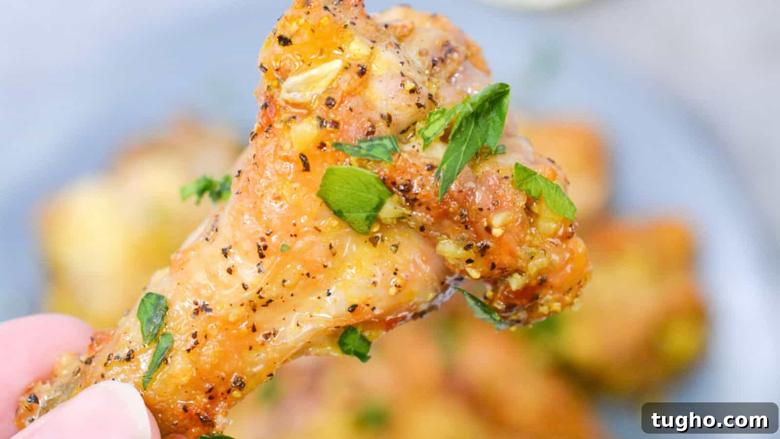 Close-up of a hand holding a seasoned chicken wing garnished with fresh herbs, with more pieces on a plate in the background.