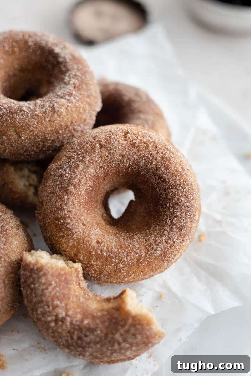 Homemade Baked Cinnamon Sugar Donuts Recipe 2 A closeup of a whole, baked Cinnamon Sugar Donut with a broken piece of donut next to it.