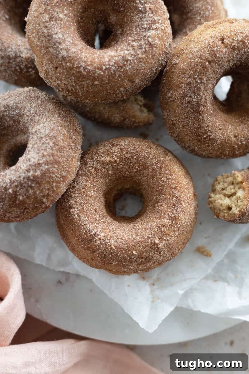 Homemade Baked Cinnamon Sugar Donuts Recipe 11 Baked Cinnamon Sugar Donuts in a stack on a marble platter.
