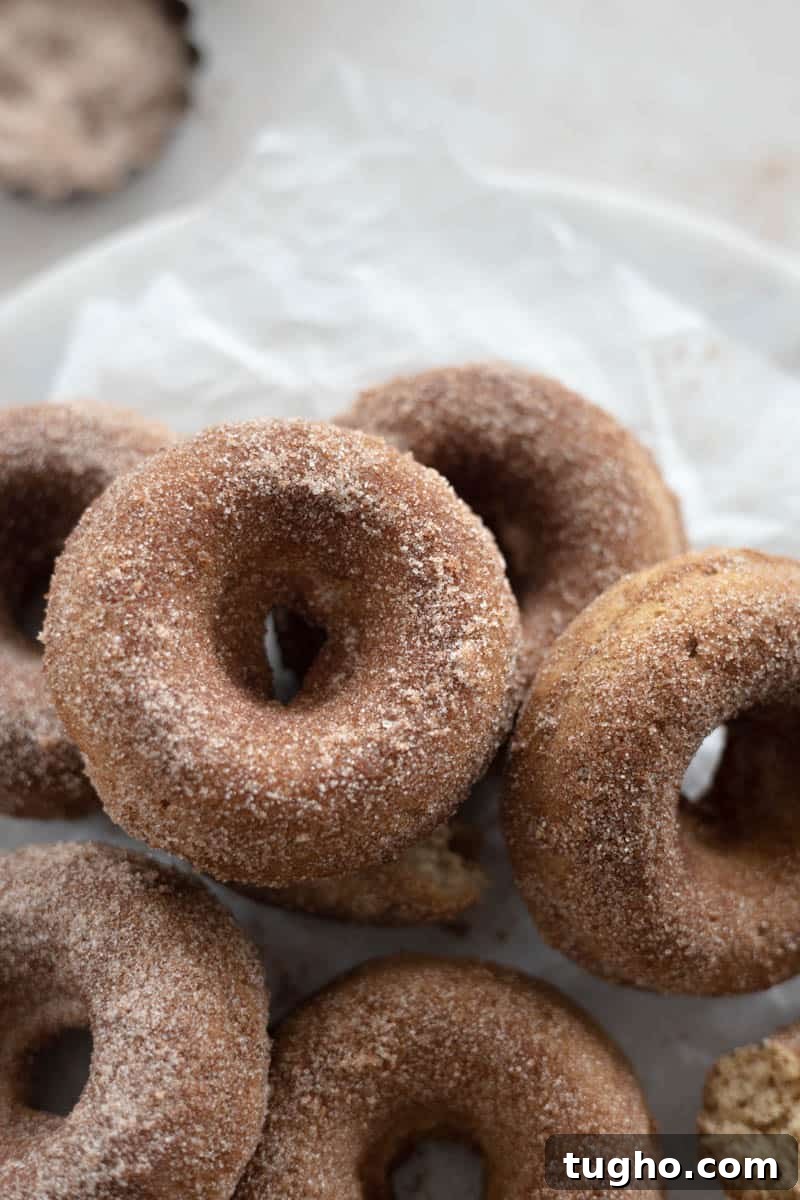 Homemade Baked Cinnamon Sugar Donuts Recipe 12 A pile of donuts on a piece of parchment paper.