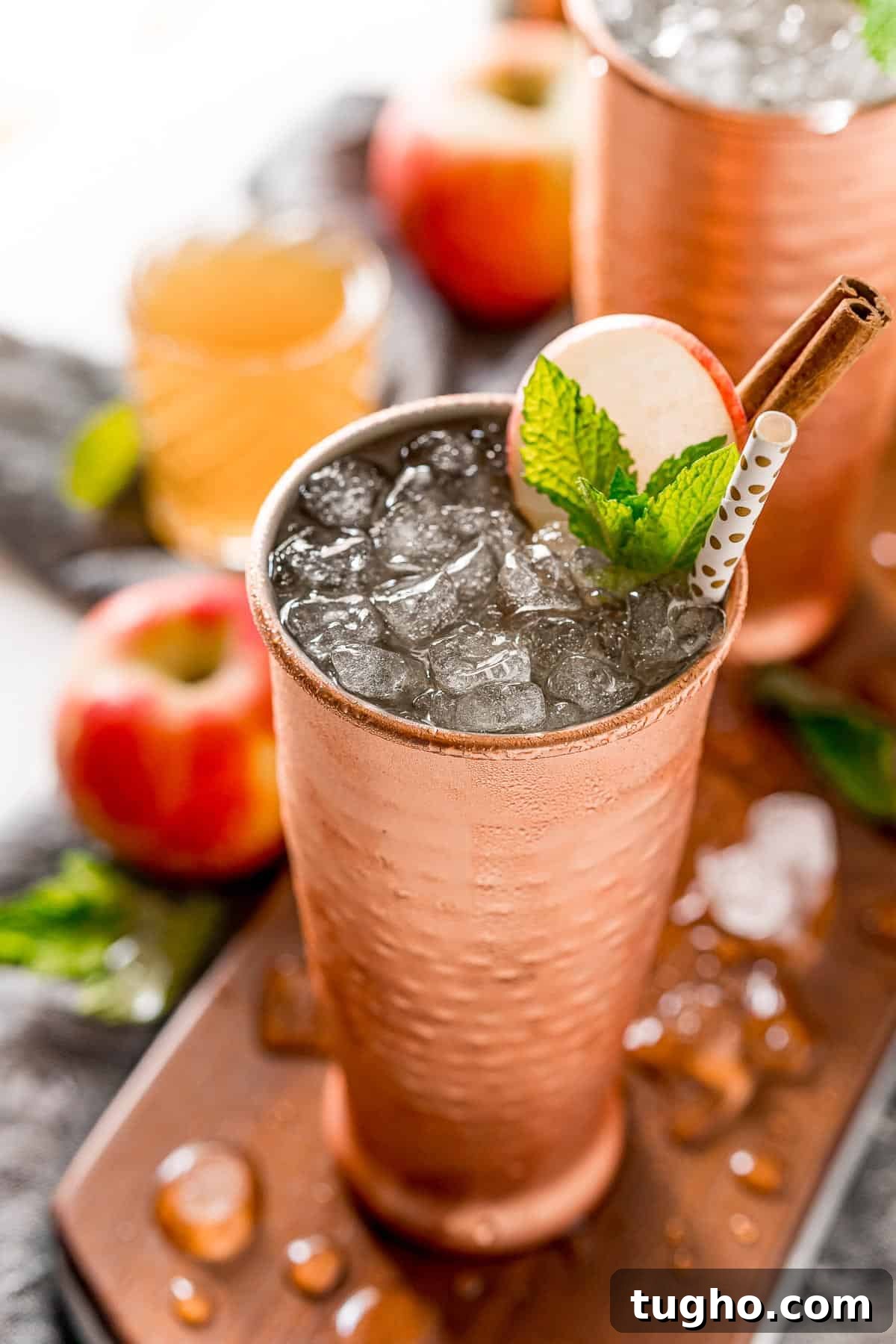 This apple cider Moscow mule puts a fall spin on a classic cocktail! Served in a copper mug, garnished with a cinnamon stick and apple slice. Apple cider moscow mule with nugget ice, garnished with apple, mint leaves, and a cinnamon stick.